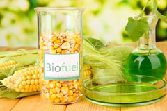 How Green biofuel availability