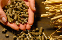 free How Green biomass boiler quotes